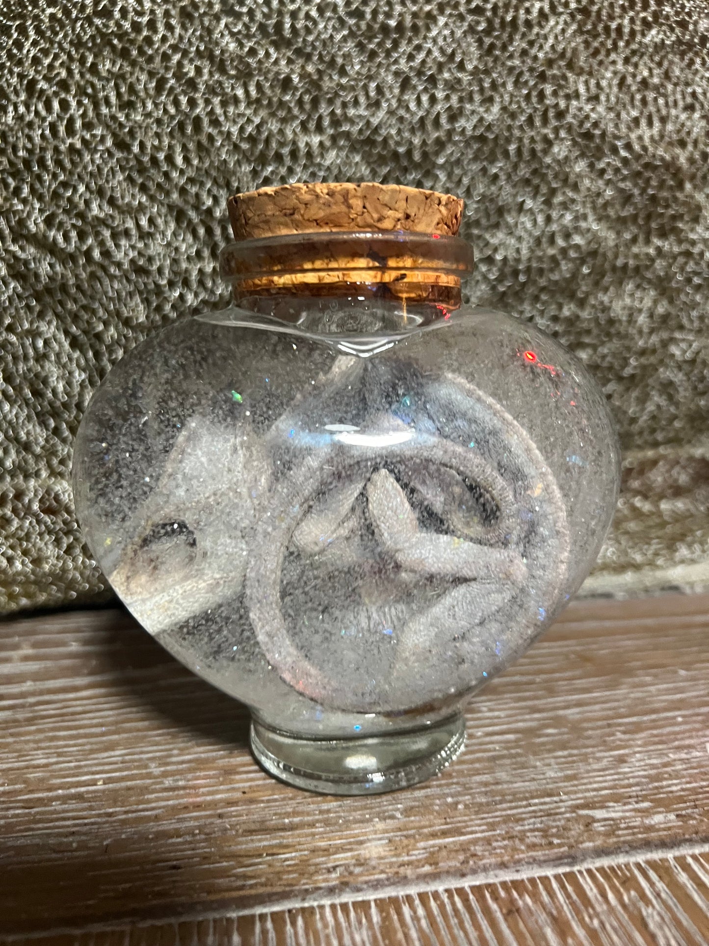 Veiled chameleon fully fixed wet specimen snow globe